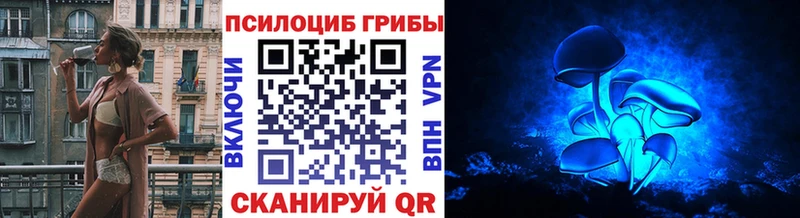 мега сайт  Вологда  Псилоцибиновые грибы мухоморы  где купить наркоту 